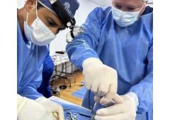 Halsted Cirugia traumatología