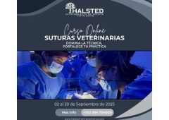 feed pag web halsted (3)